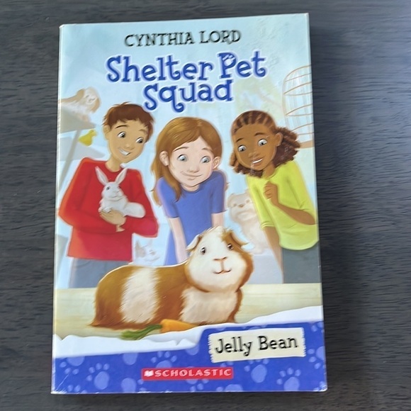 Set of 4.  Cynthia Lord paperback books - Picture 4 of 10